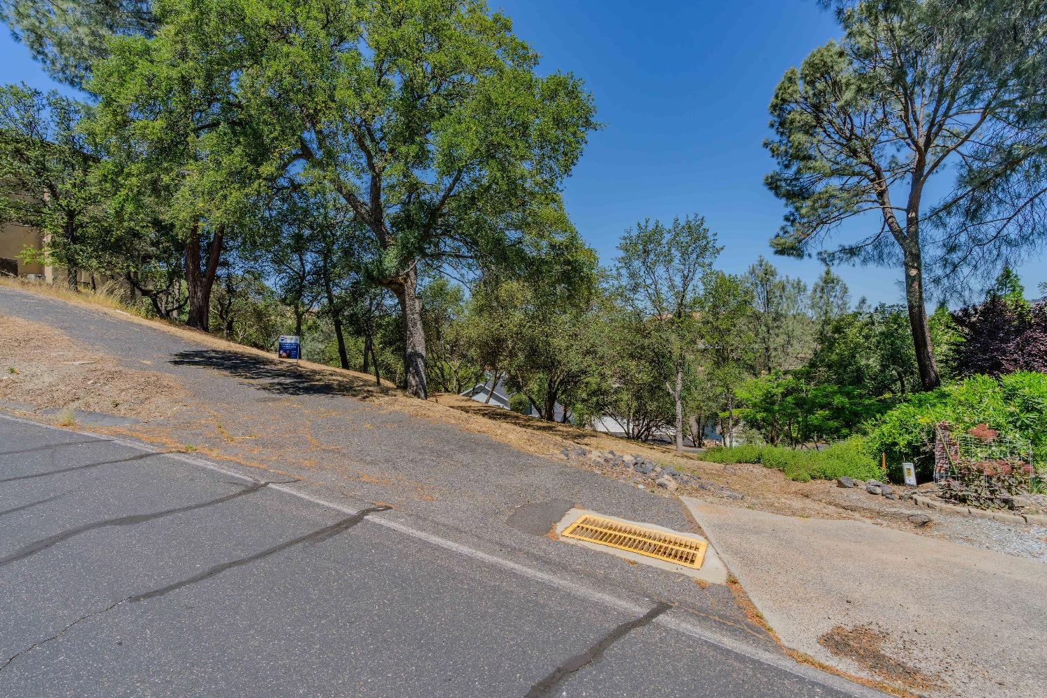 215 Oakhurst Court Copperopolis, CA 95228 - Photo 9 of 16 a view of a street with a tree