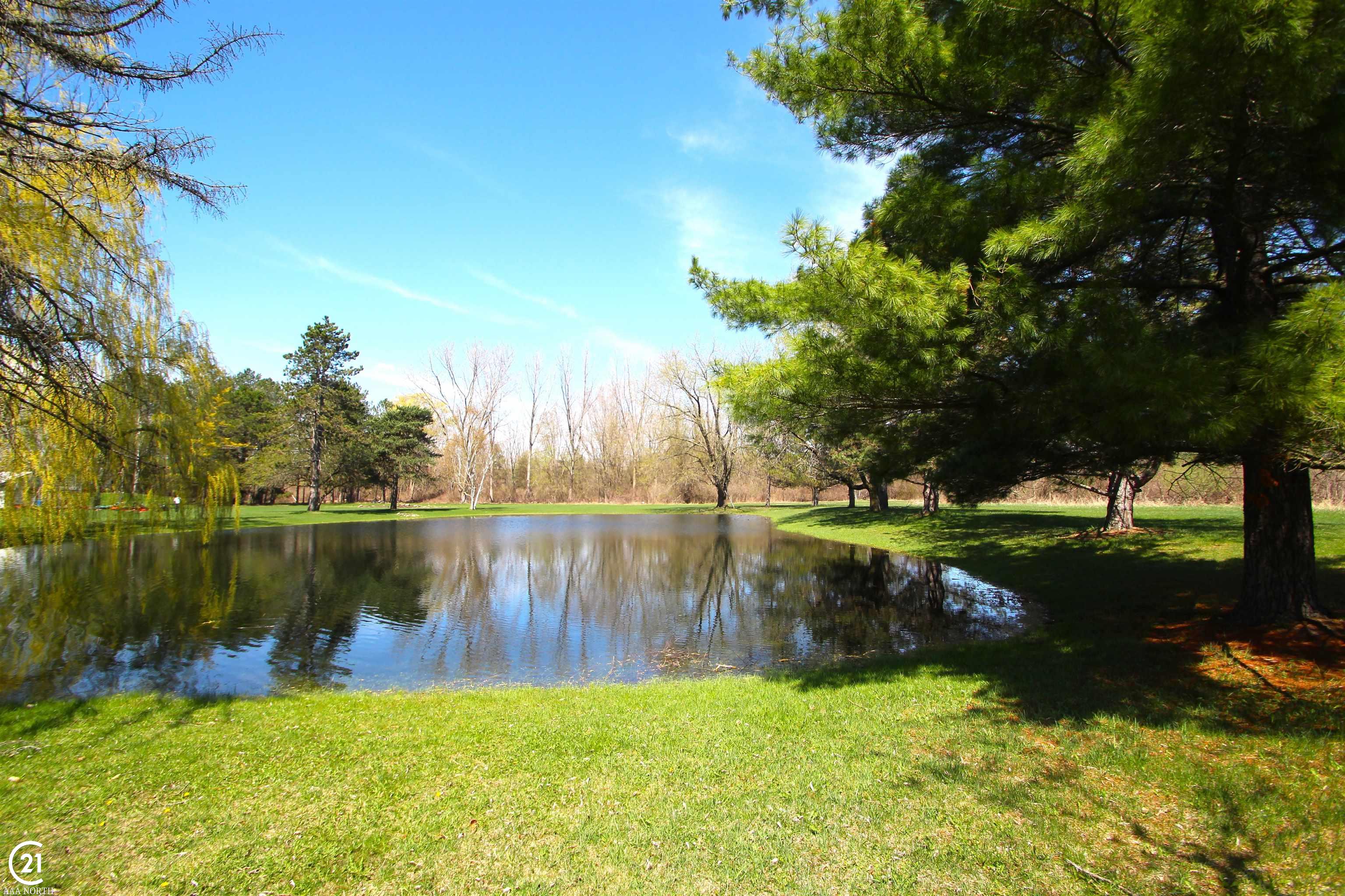 3137 North Mill Road Dryden, MI 48428 - Photo 40 of 46