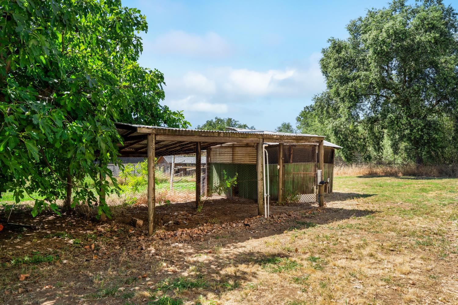 3270 Ayres Holmes Road Auburn, CA 95603 - Photo 58 of 72 Chicken Coop
