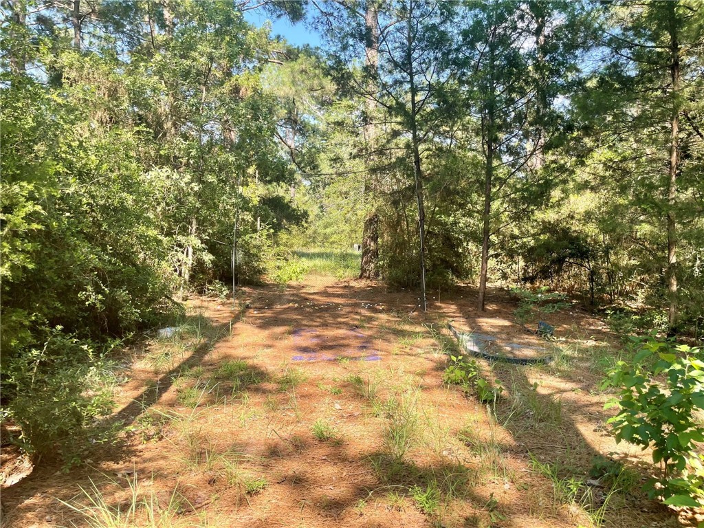 249 Overhill Road Bastrop, TX 78602 - Photo 1 of 1 Gallery Image 1