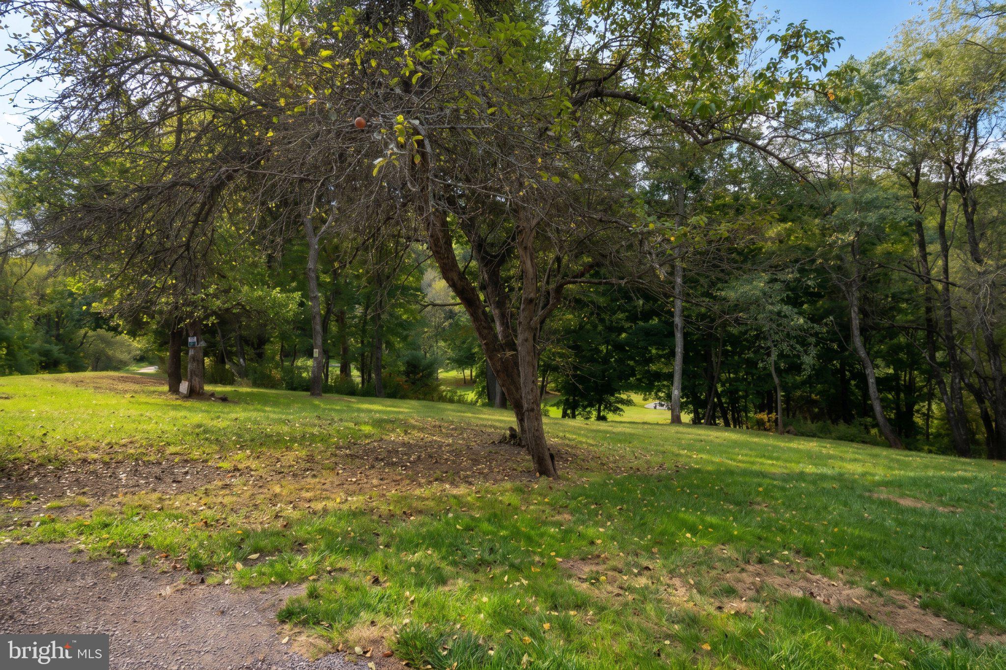 619 Hotel Road Deer Park, MD 21550 - Photo 62 of 62 Gallery Image 62