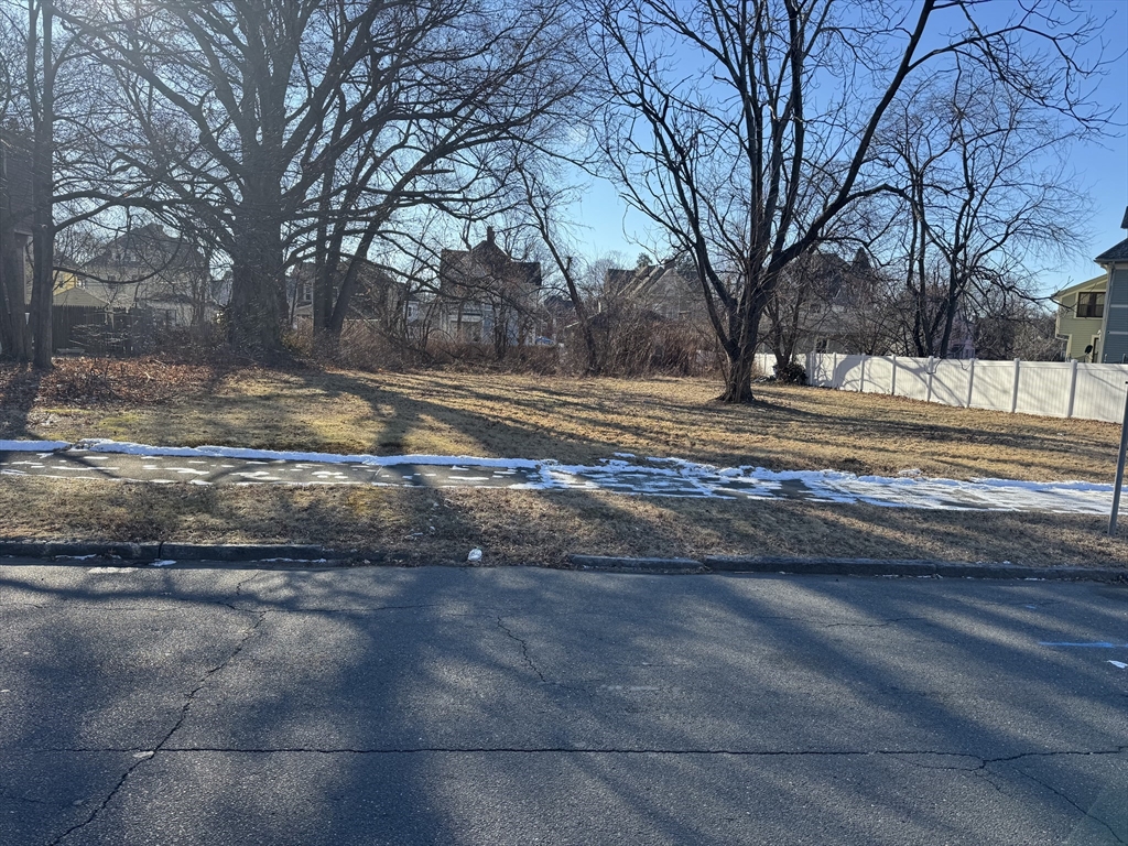 Ws Buckingham Street Springfield, MA 01109 - Photo 1 of 2 a view of a yard with a large tree