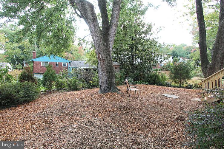 1612 Belvedere Boulevard Silver Spring, MD 20902 - Photo 24 of 24 View