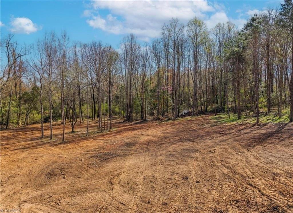 2633 Sprouse Road Boonville, NC 27011 - Photo 8 of 19