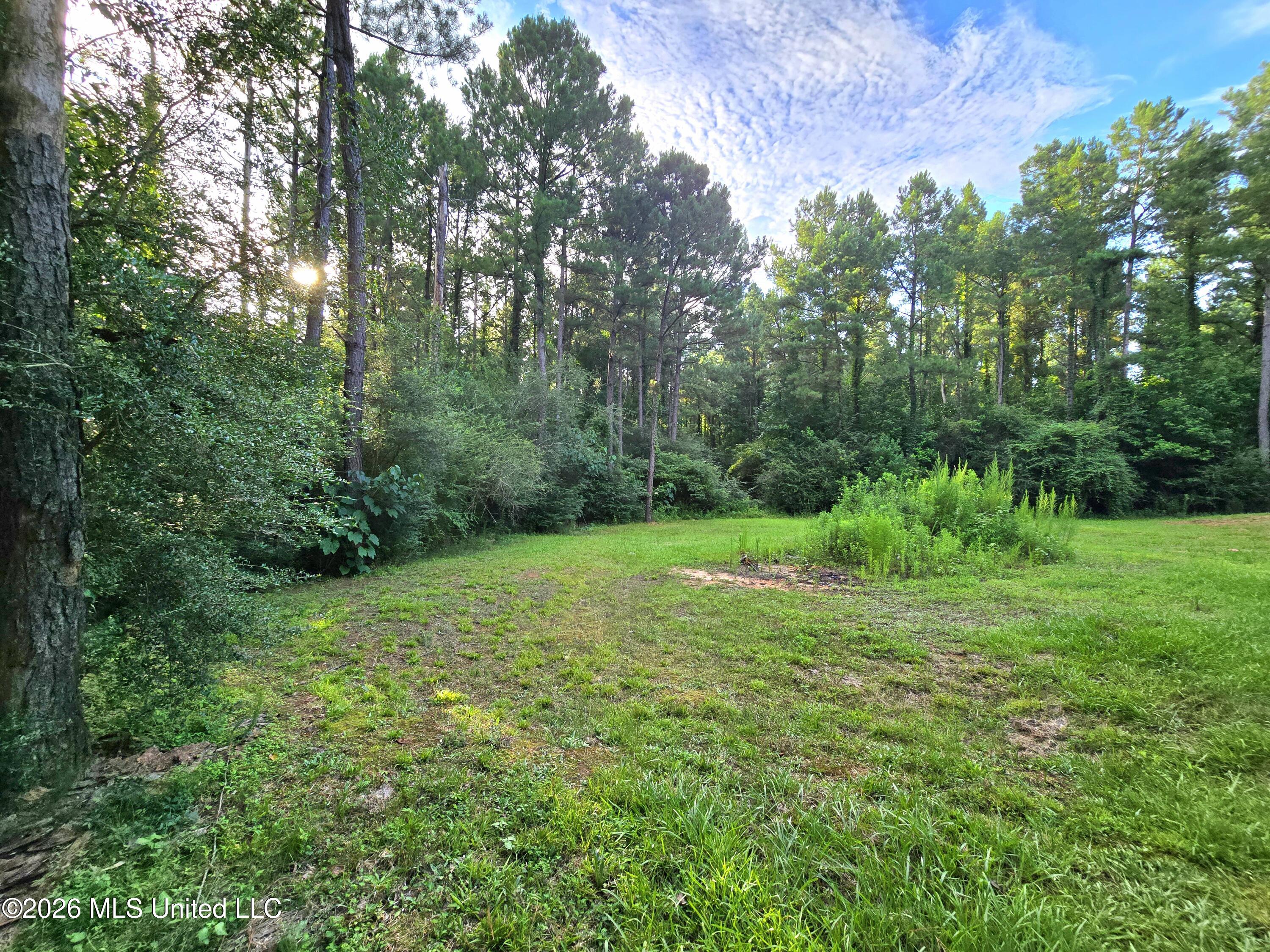 1189 Shady Grove Road Osyka, MS 39657 - Photo 20 of 27 20260622_183651