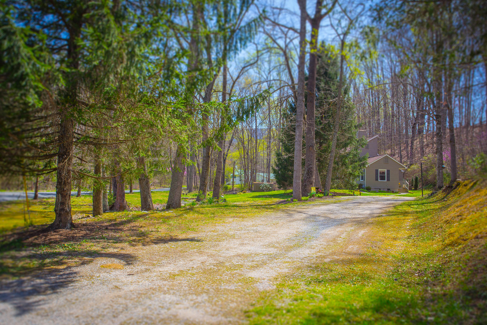 792 Pico Road Buchanan, VA 24066 - Photo 5 of 30 IMG_6023
