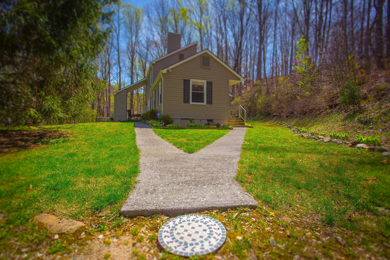 792 Pico Road Buchanan, VA 24066 - Photo 7 of 30 IMG_6027