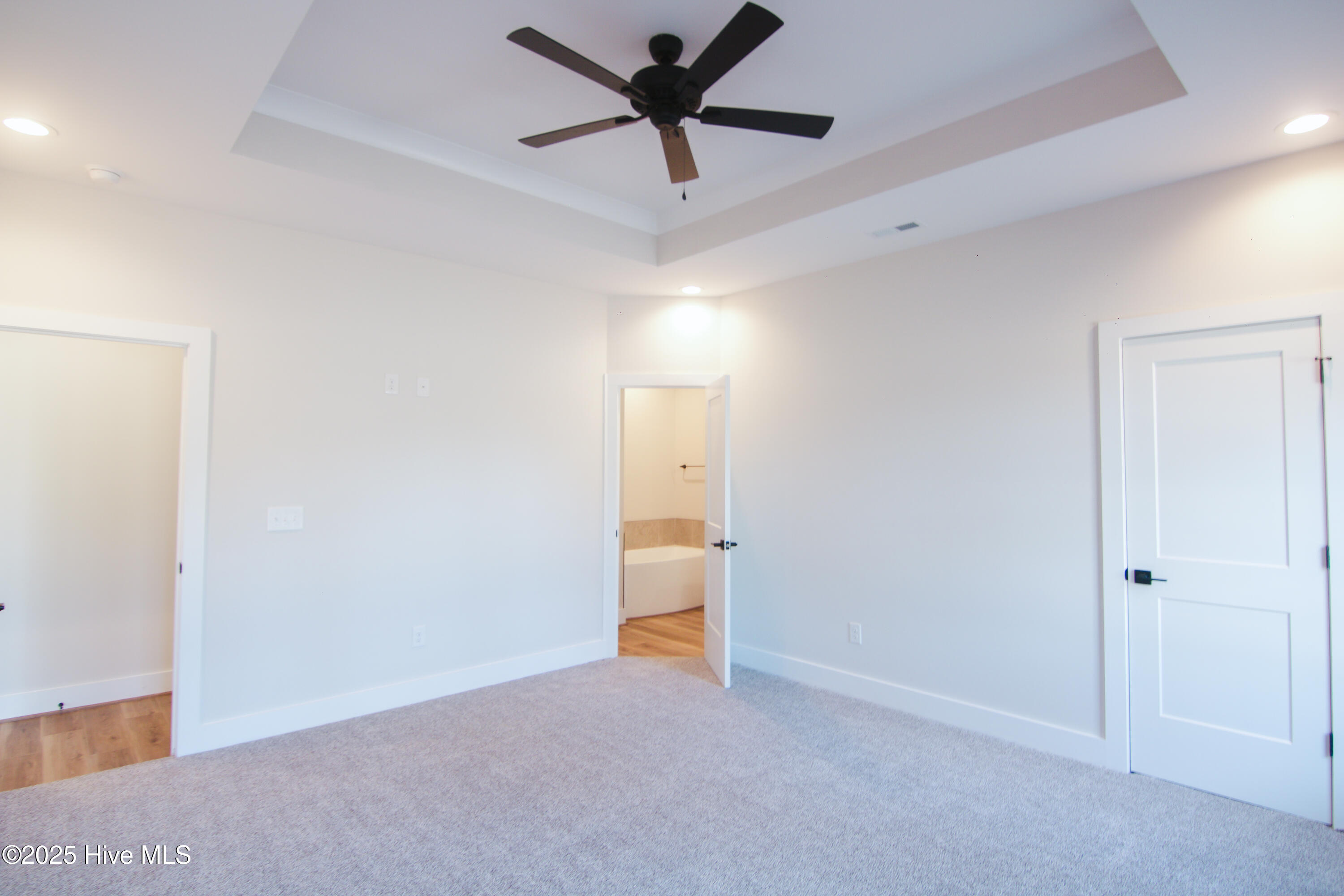 578 Forest Knolls Road Goldsboro, NC 27534 - Photo 16 of 22 Tray Ceiling