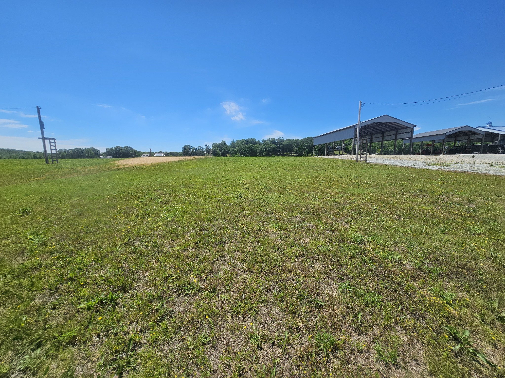 1695 Hardin Bottom River Road Clifton, TN 38425 - Photo 8 of 17
