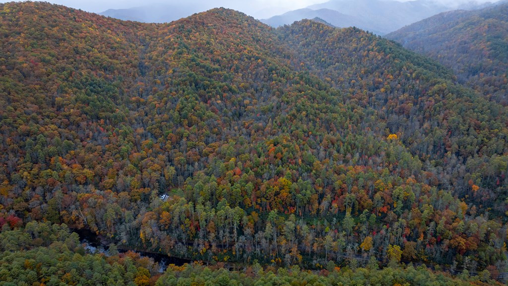3549 P Snowbird Road Robbinsville, NC 28771 - Photo 3 of 5