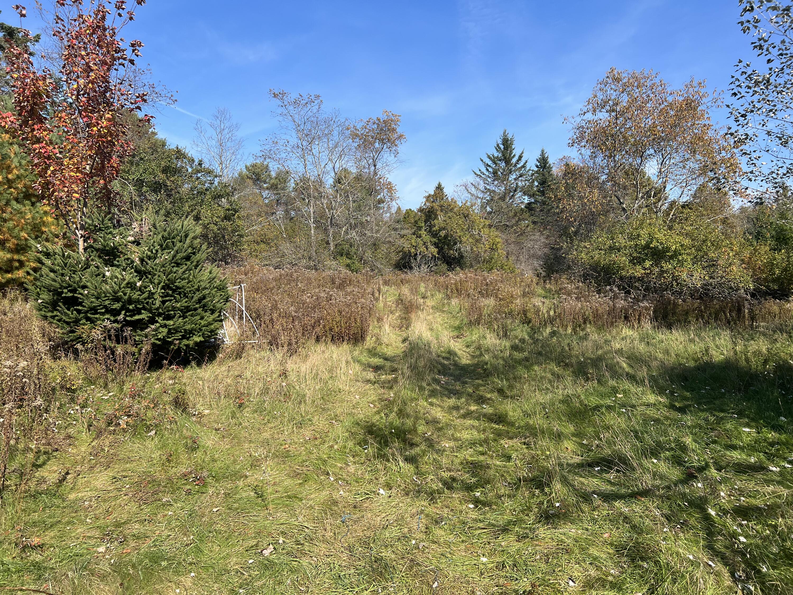 77 Cross Road Bucksport, ME 04416 - Photo 7 of 15 IMG_4129