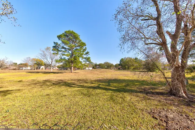 a view of an ocean and a trees