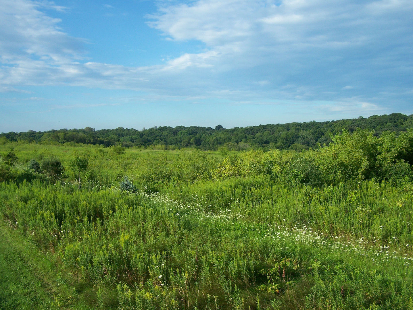 0 Maclean Road Elkhorn, WI 53121 - Photo 1 of 9