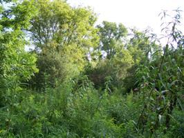 0 Maclean Road Elkhorn, WI 53121 - Photo 2 of 9