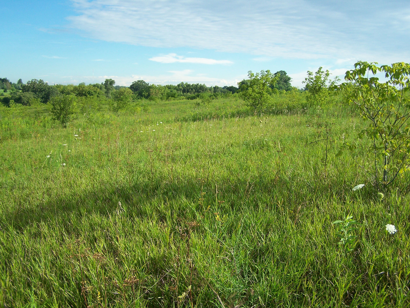 0 Maclean Road Elkhorn, WI 53121 - Photo 4 of 9