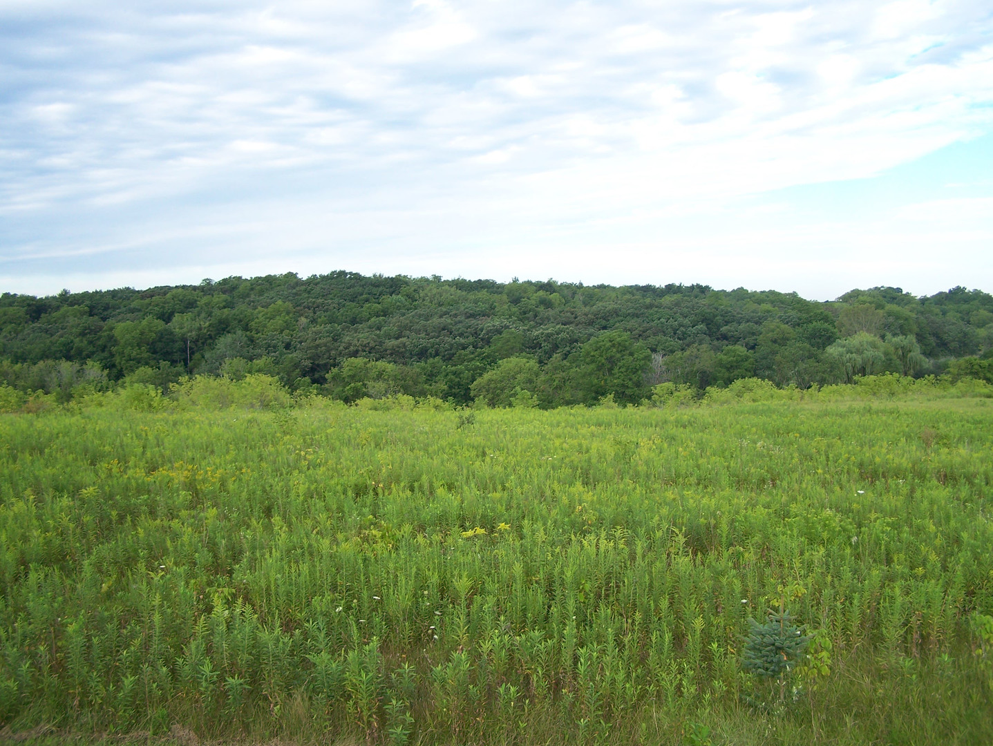 0 Maclean Road Elkhorn, WI 53121 - Photo 5 of 9