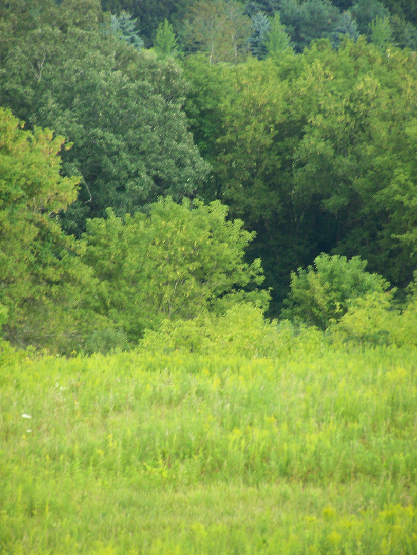 0 Maclean Road Elkhorn, WI 53121 - Photo 6 of 9