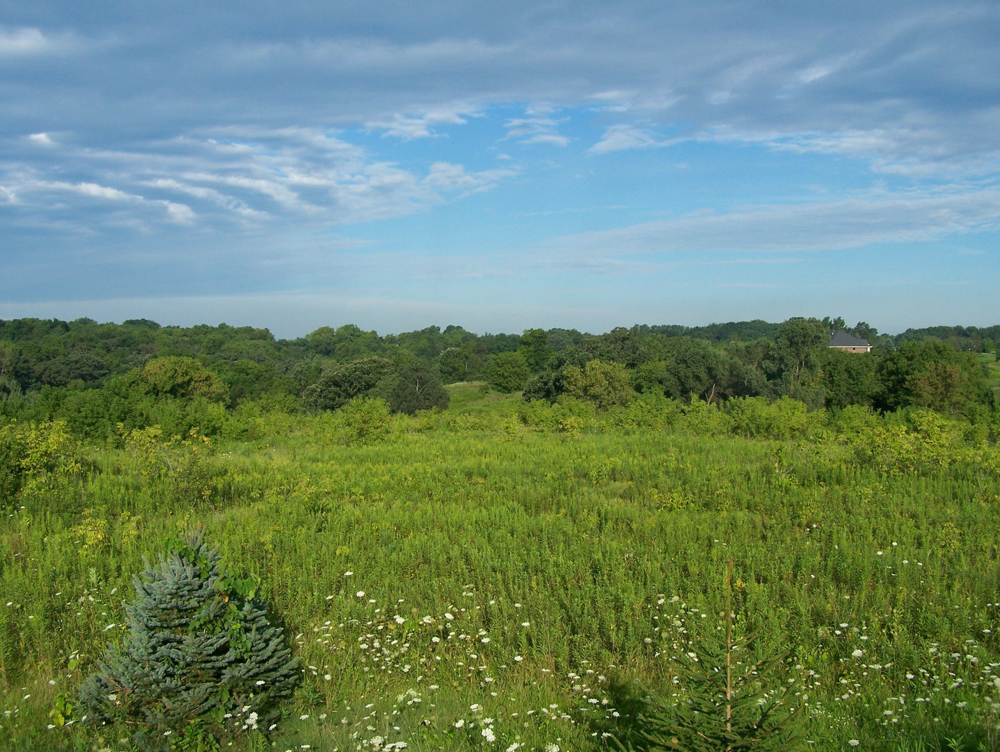 0 Maclean Road Elkhorn, WI 53121 - Photo 7 of 9
