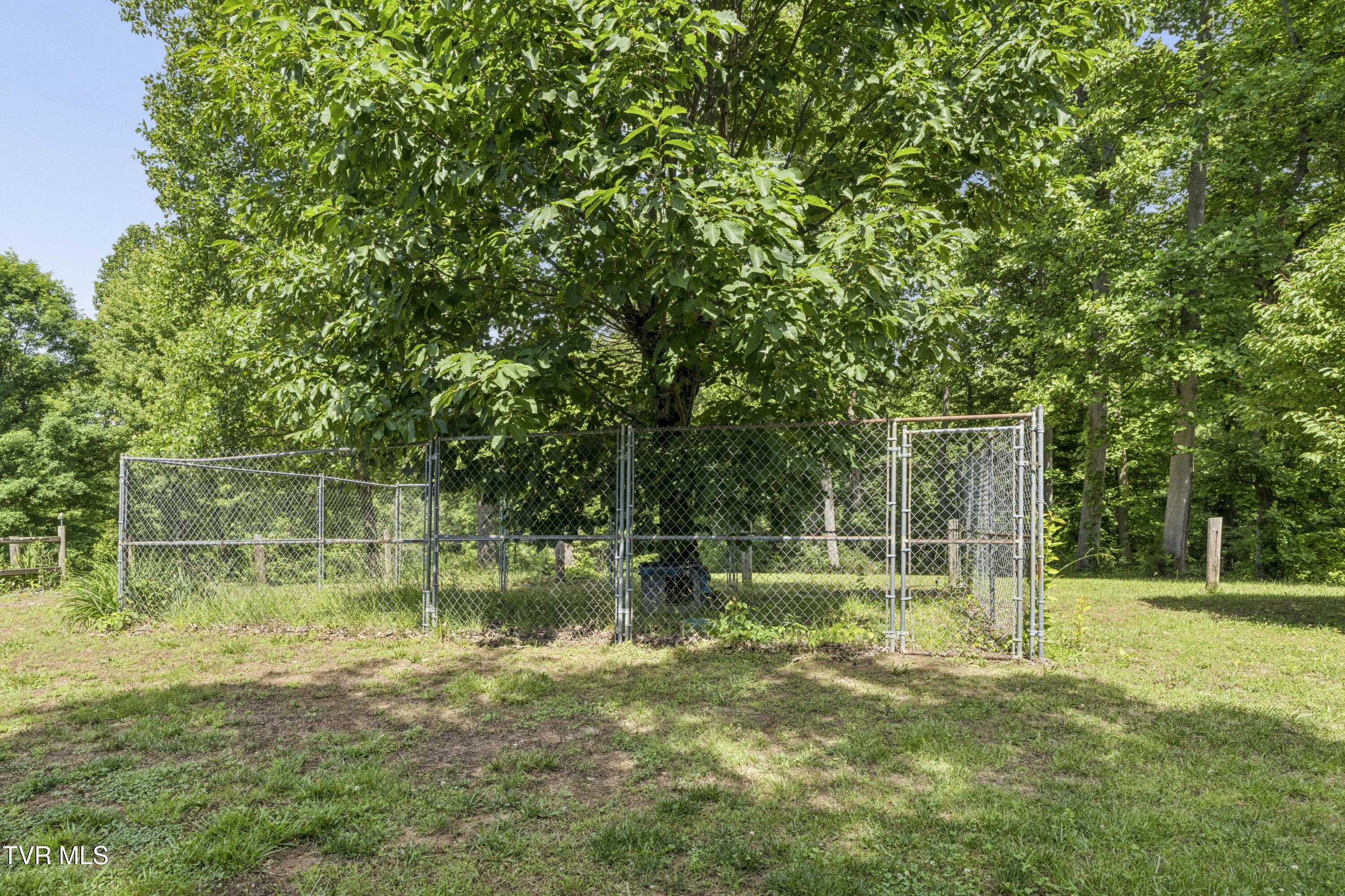 1820 Frank Roberts Road Afton, TN 37616 - Photo 33 of 73 Frank2-13