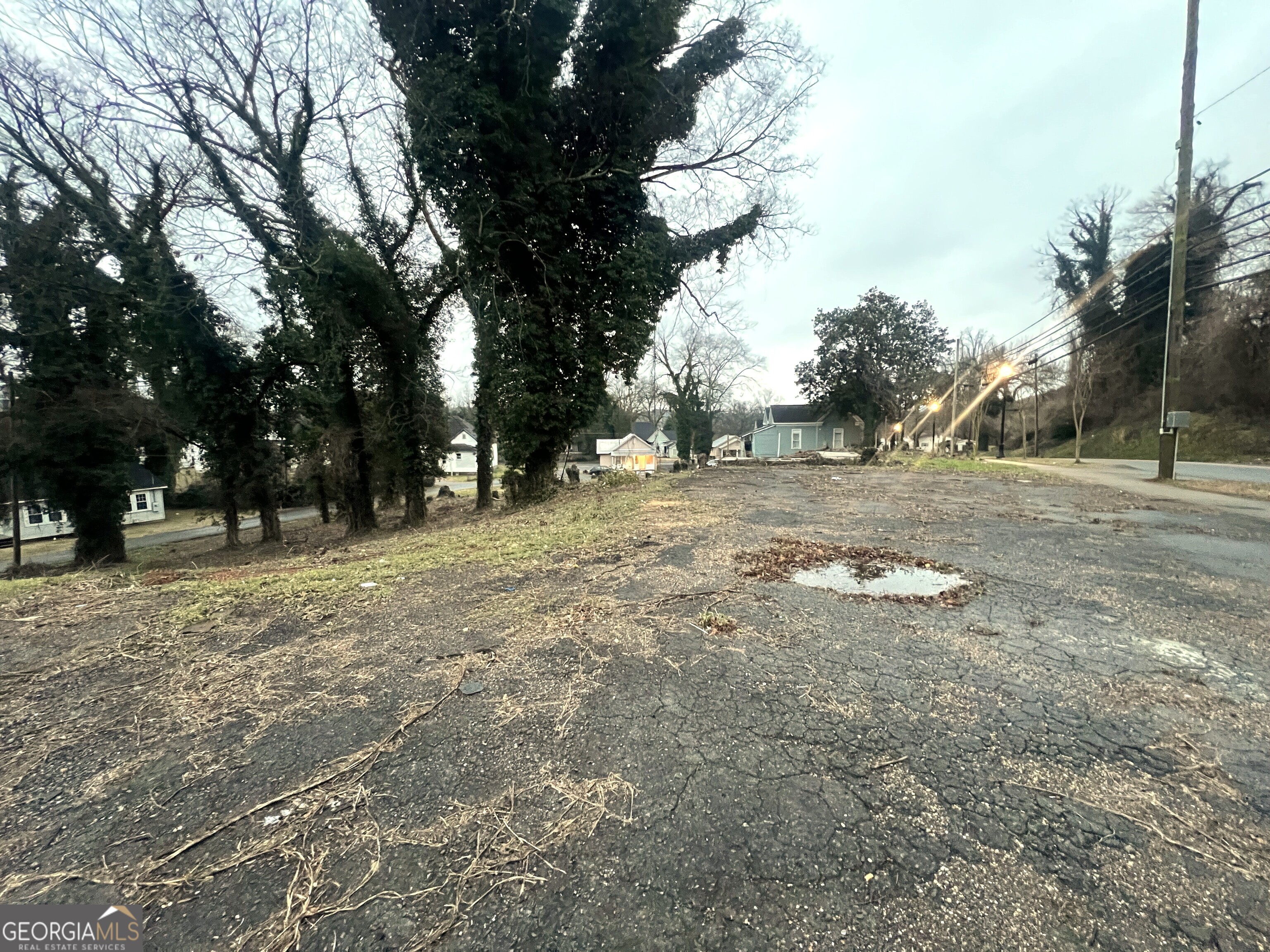113 East Main Street Southwest Rome, GA 30161 - Photo 2 of 5 a view of dirt yard with a large tree