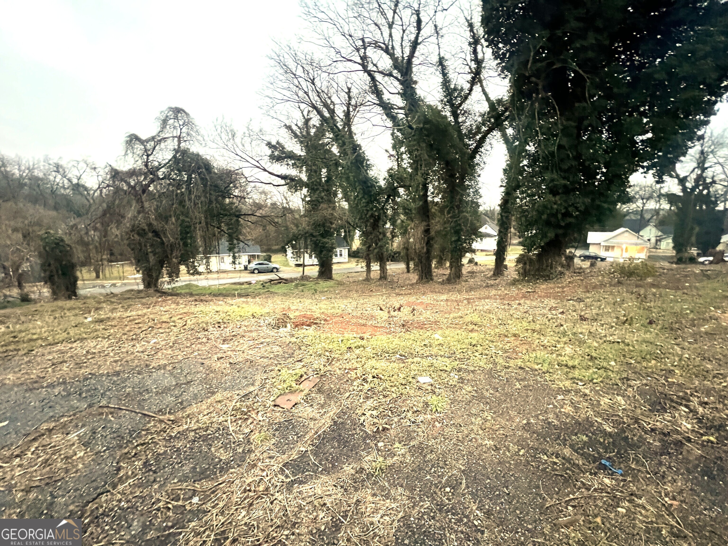 113 East Main Street Southwest Rome, GA 30161 - Photo 3 of 5 a view of road with large trees