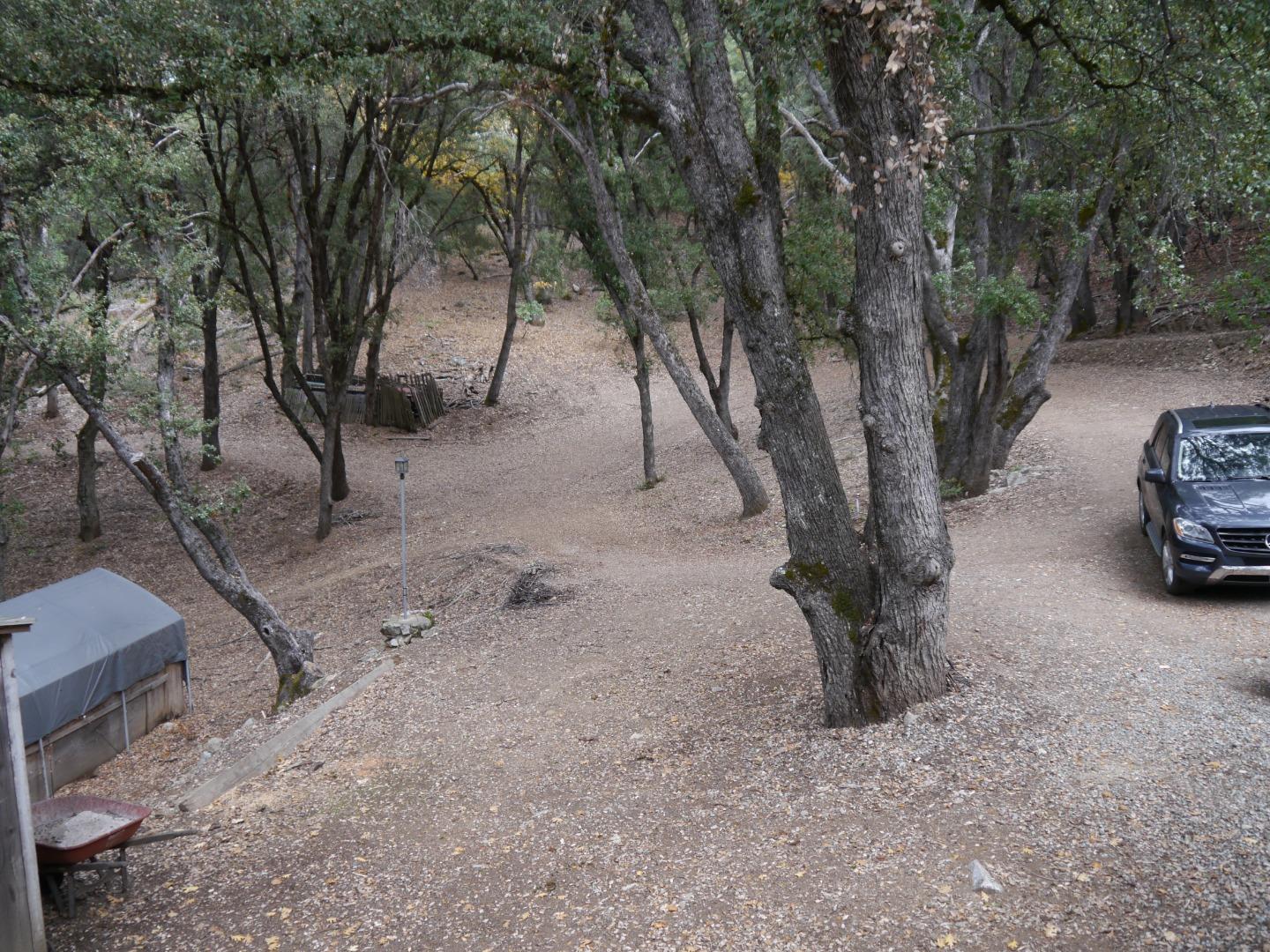 39450 Tassajara Road Carmel Valley, CA 93924 - Photo 36 of 61 a view of a yard with a tree