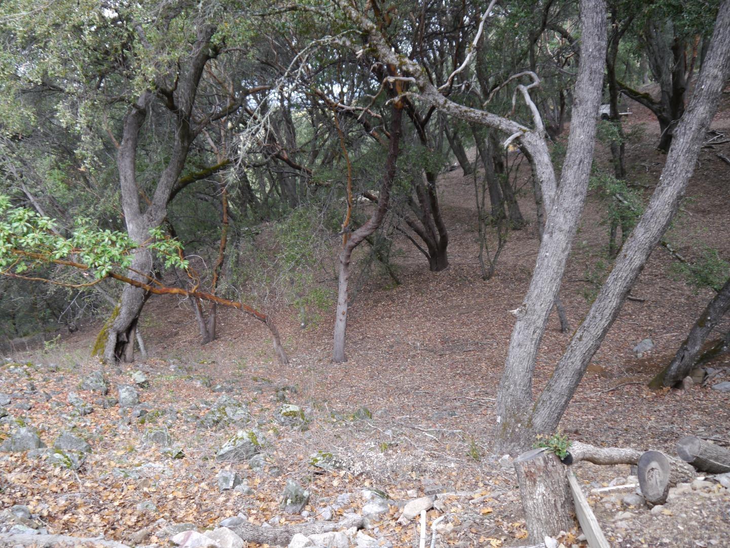 39450 Tassajara Road Carmel Valley, CA 93924 - Photo 38 of 61