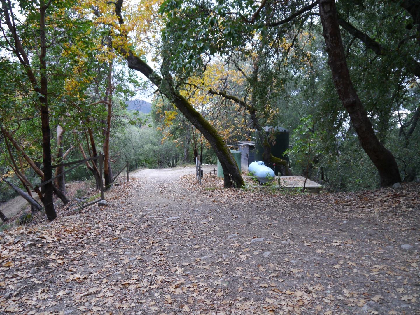 39450 Tassajara Road Carmel Valley, CA 93924 - Photo 55 of 61 a view of a backyard with large trees