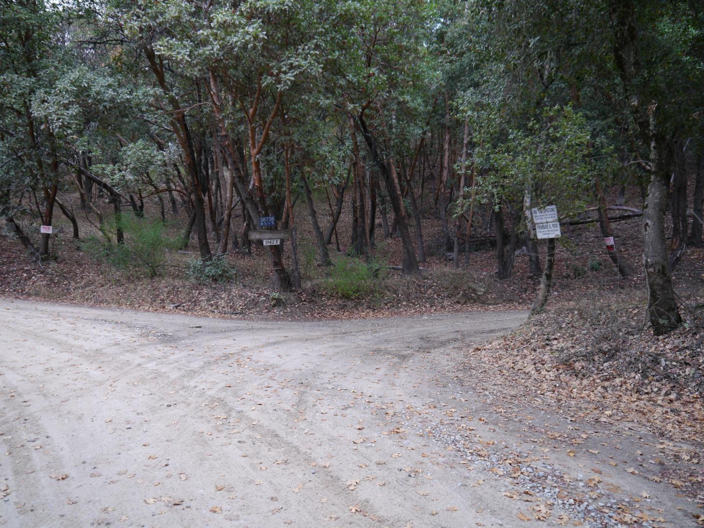 39450 Tassajara Road Carmel Valley, CA 93924 - Photo 56 of 61 a view of a forest with trees in the background