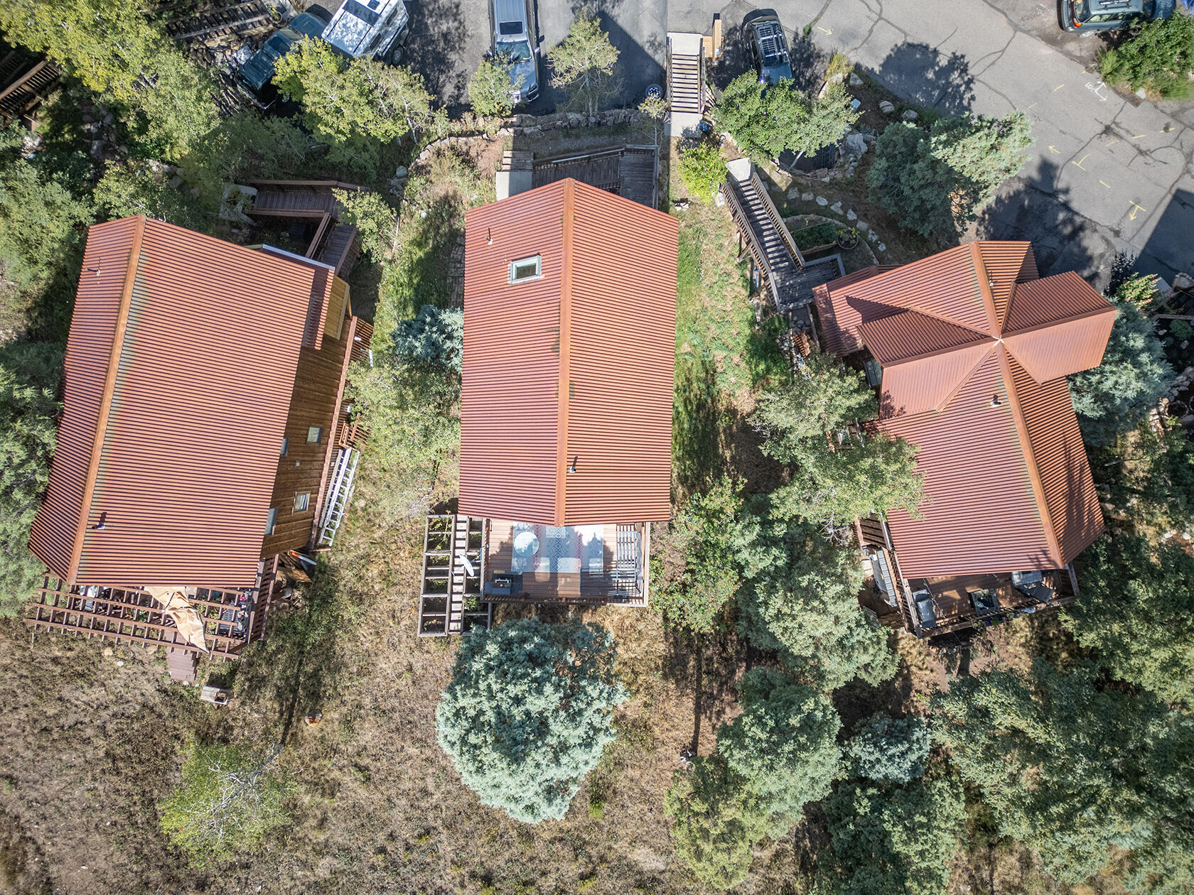 921 Two Rivers Drive Telluride, CO 81435 - Photo 33 of 34 DJI_0538