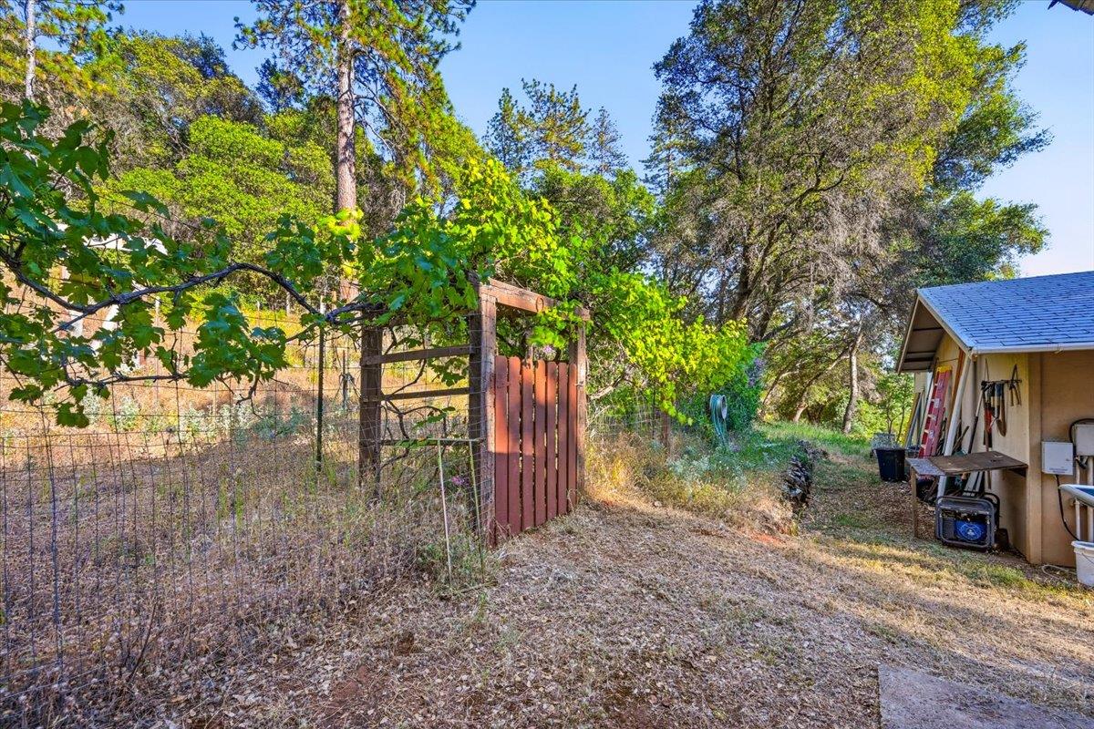 19235 Bumpy Road Grass Valley, CA 95949 - Photo 46 of 60
