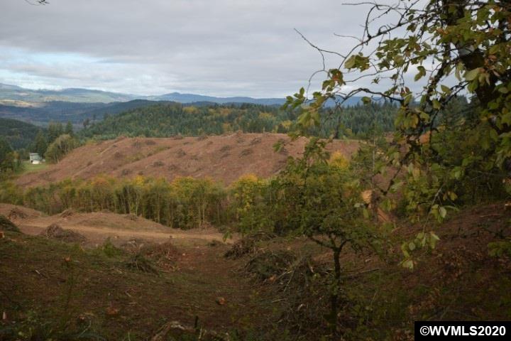1 Northwest Olson Road Gaston, OR 97119 - Photo 7 of 8