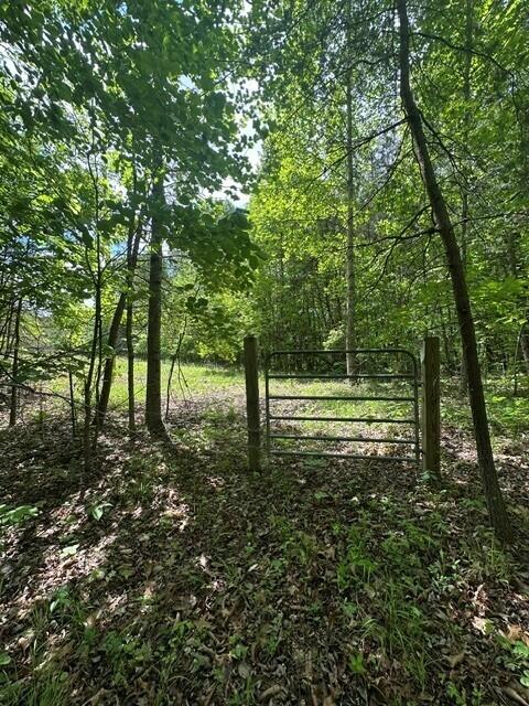 142 Cole Road Deer Lodge, TN 37726 - Photo 30 of 77 30