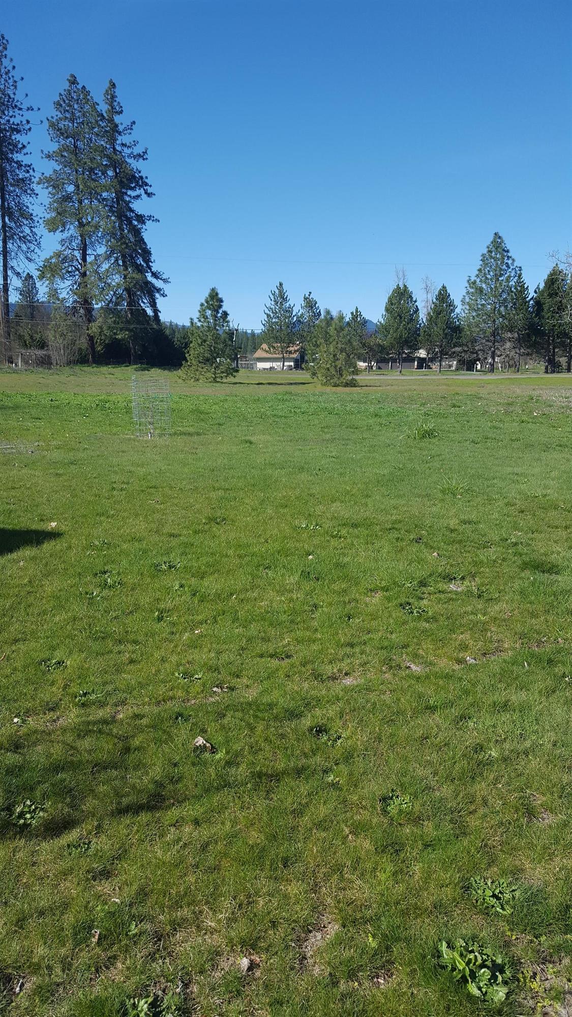 1365 Pine Grove Road Rogue River, OR 97537 - Photo 4 of 12 Additional Photo