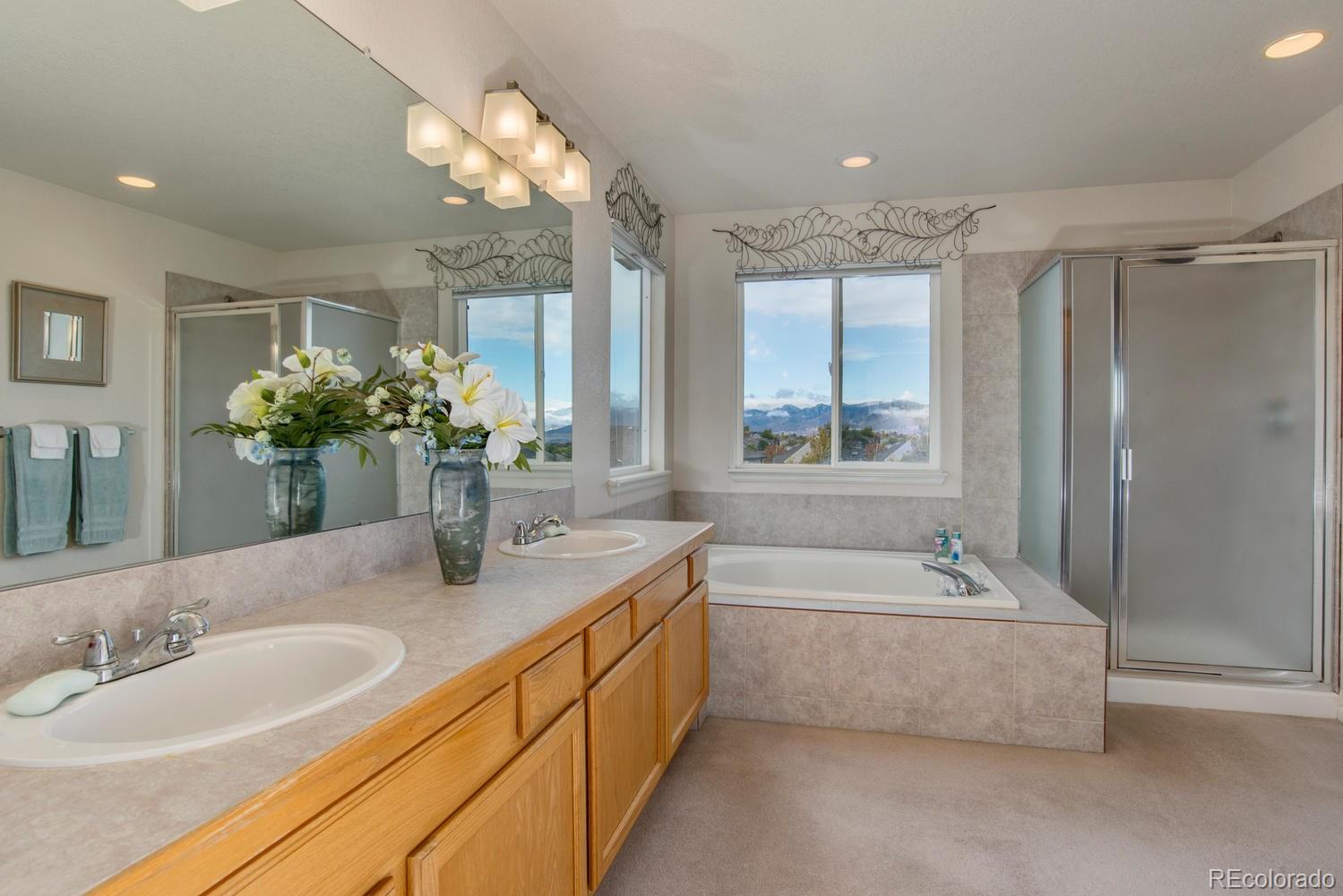 389 West Rose Finch Circle Highlands Ranch, CO 80129 - Photo 18 of 35 Gallery Image 18