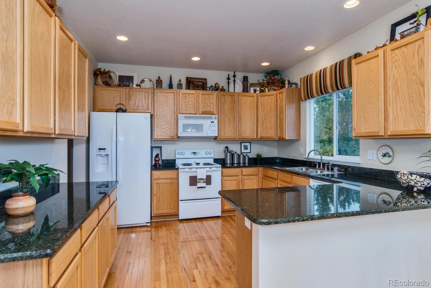 389 West Rose Finch Circle Highlands Ranch, CO 80129 - Photo 5 of 35 Gallery Image 5