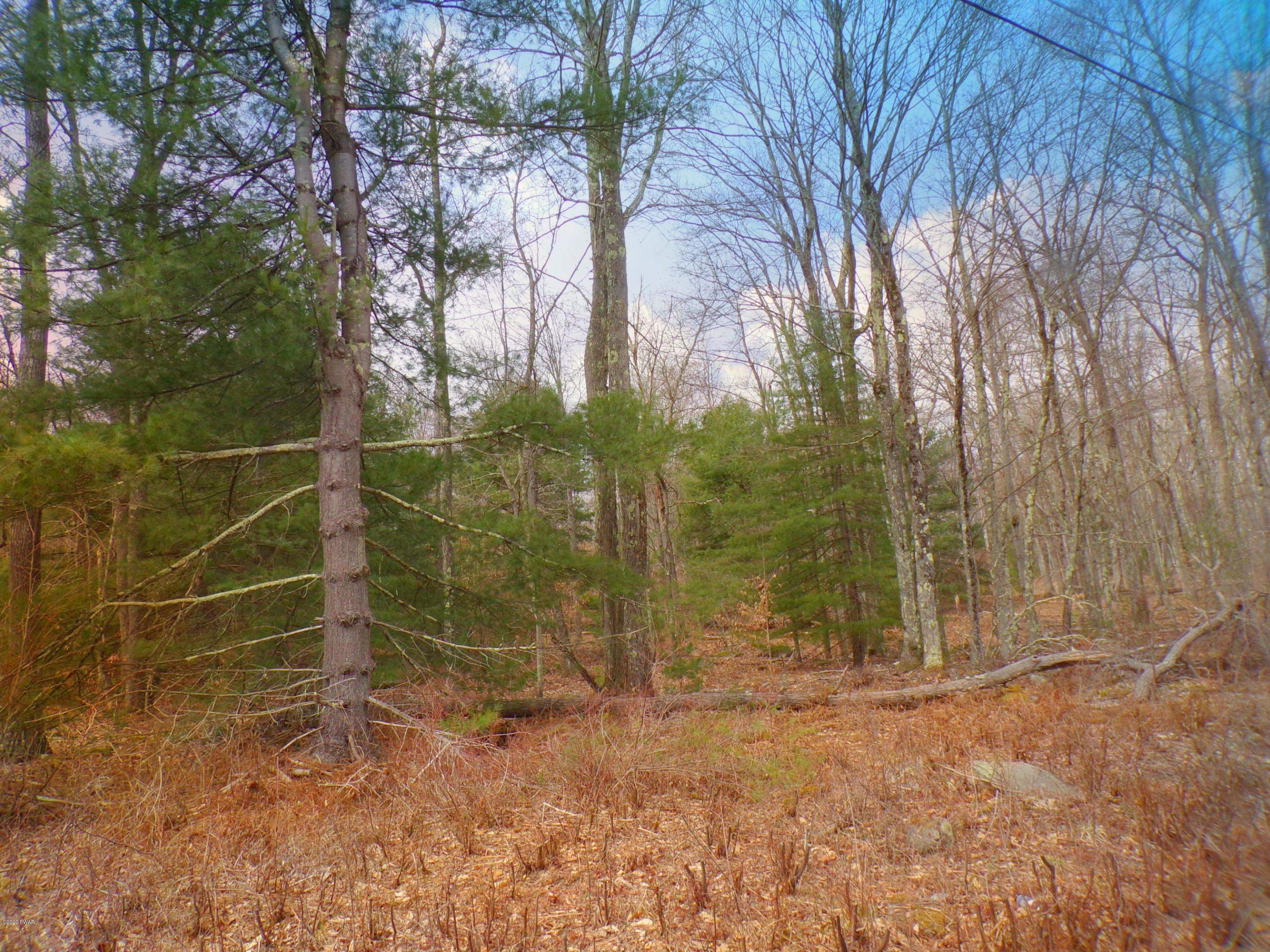 Perkins Pond Rd Beach Lake Beach Lake, PA 18405 - Photo 6 of 7