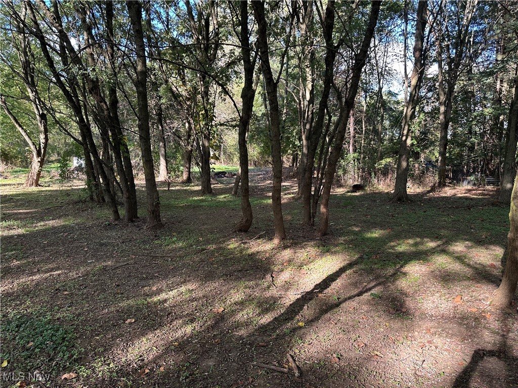7320 Fenner Road Shelby, OH 44875 - Photo 8 of 21 View of yard