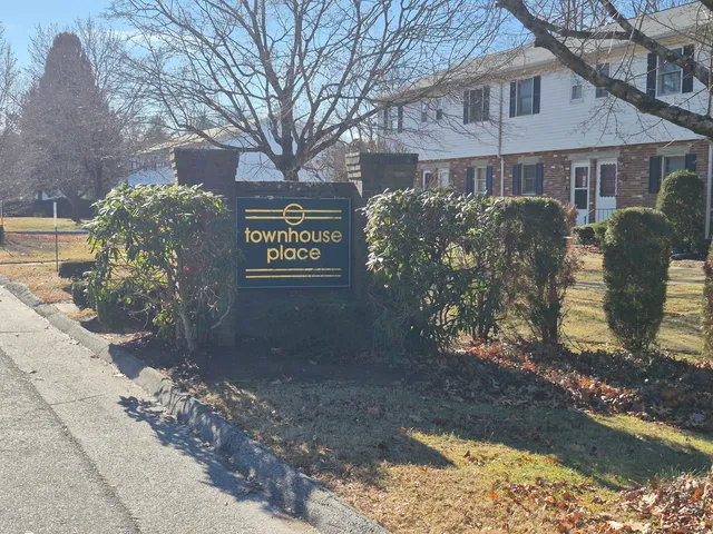 a view of a street with potted plants