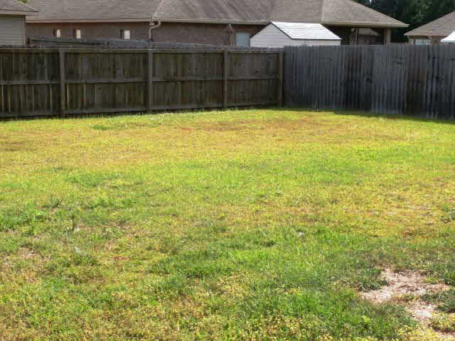 10183 Fionn Loop Daphne, AL 36526 - Photo 15 of 15 Fenced Deep Yard