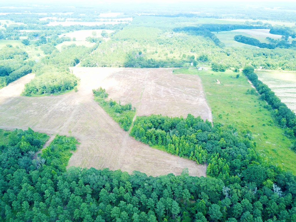 L5 New Hinson Road Slocomb, AL 36375 - Photo 7 of 23