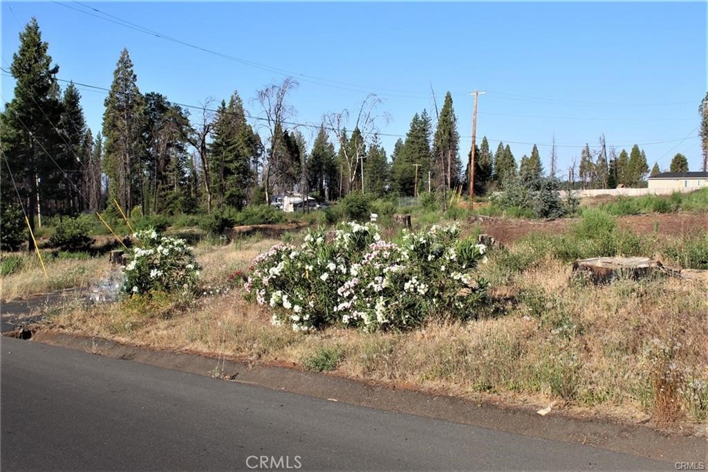 13925 Creston Road Magalia, CA 95954 - Photo 3 of 5 a view of a yard with a house