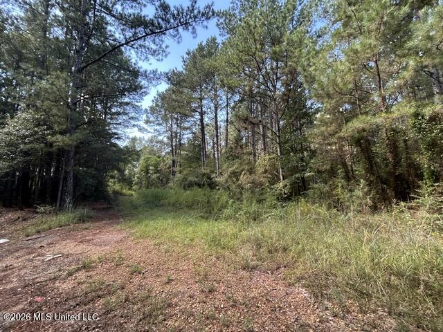 Irene Rd Summit Magnolia, MS 39652 - Photo 2 of 8 IMG_5279