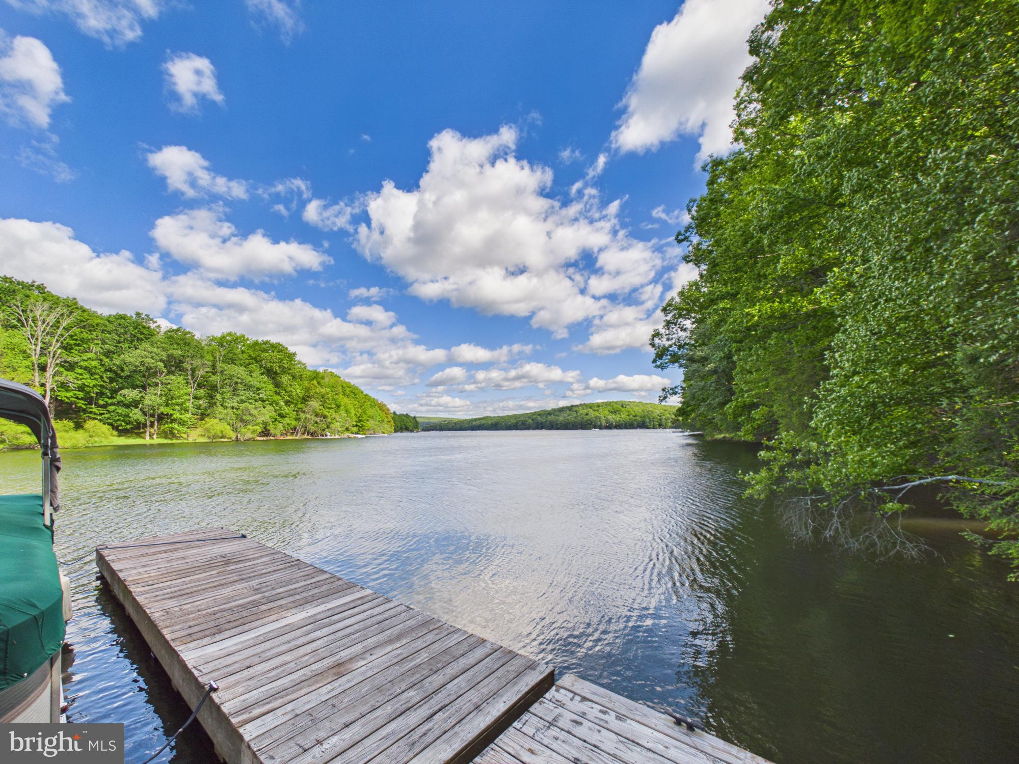 477 Finn Swamp Road Lakeville, PA 18438 - Photo 25 of 53 Floating Dock