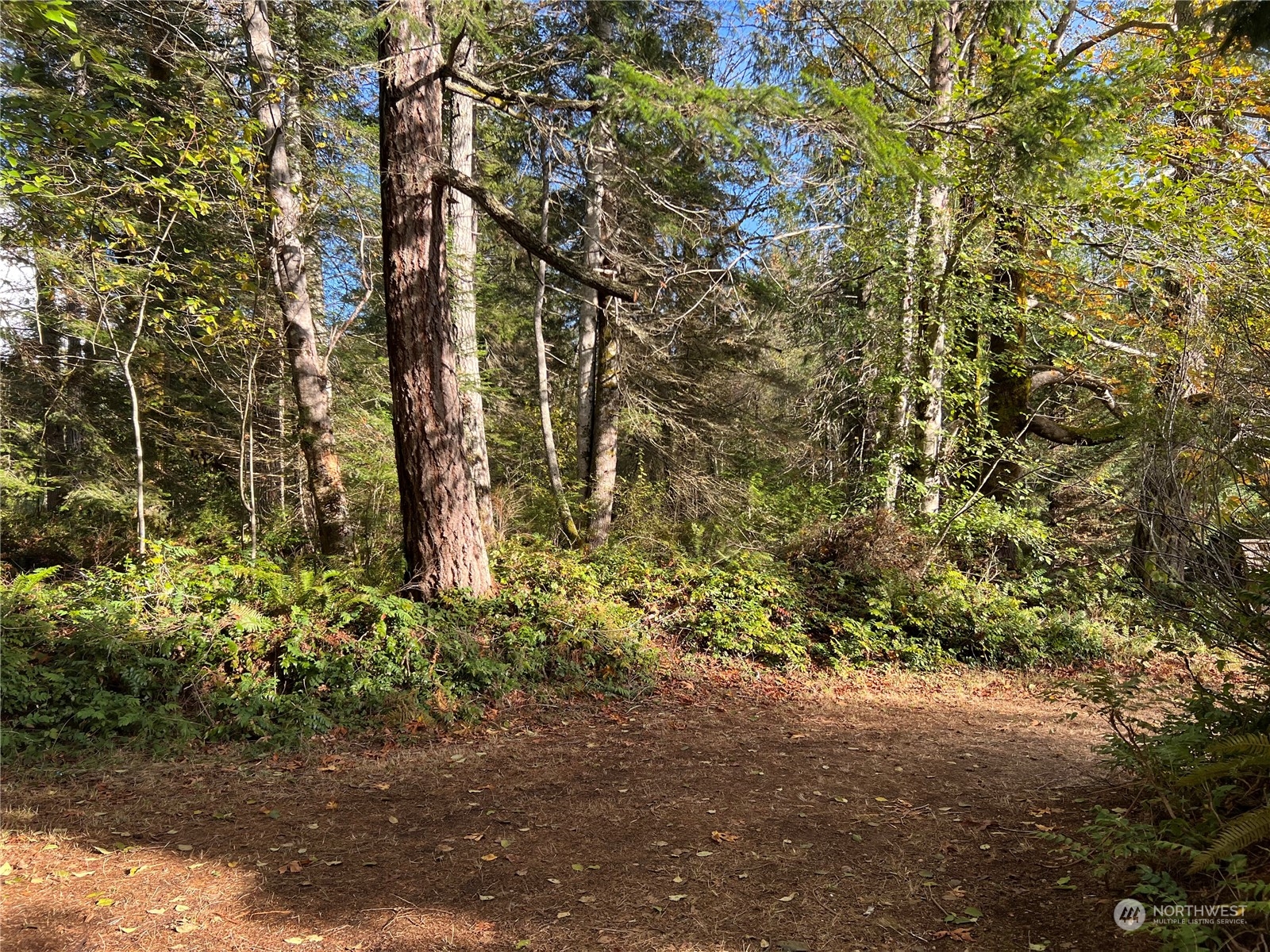 61 Thousand Trails Road Quilcene, WA 98376 - Photo 13 of 40 Gallery Image 13