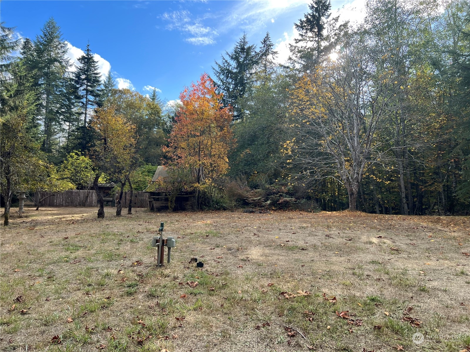 61 Thousand Trails Road Quilcene, WA 98376 - Photo 3 of 40 Gallery Image 3