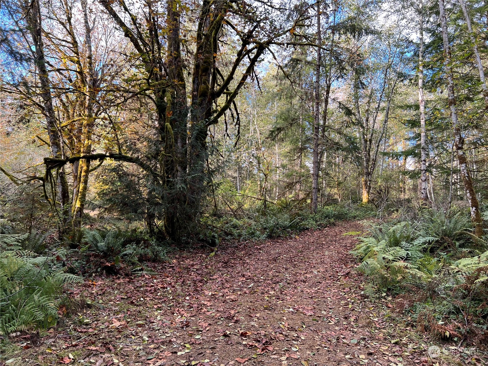 61 Thousand Trails Road Quilcene, WA 98376 - Photo 31 of 40 Gallery Image 31