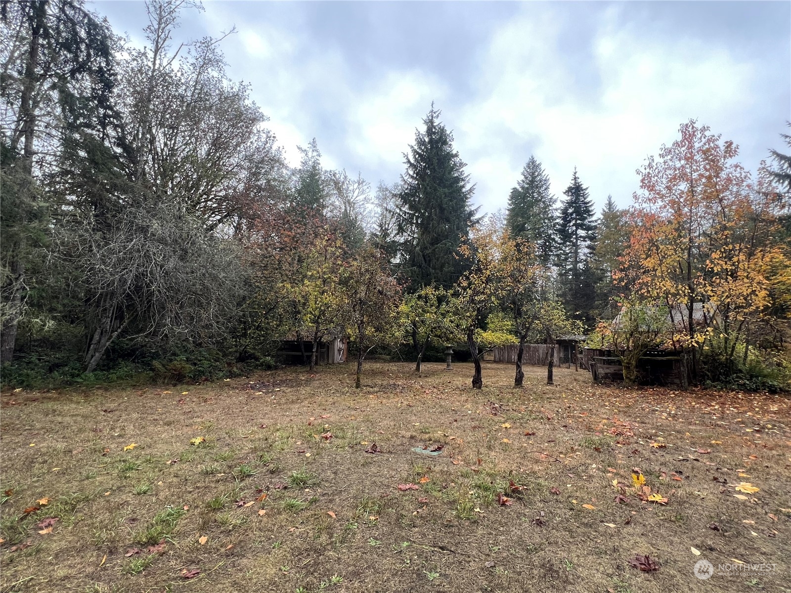 61 Thousand Trails Road Quilcene, WA 98376 - Photo 7 of 40 Gallery Image 7