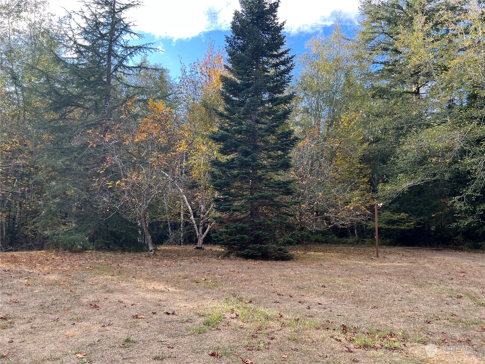 61 Thousand Trails Road Quilcene, WA 98376 - Photo 8 of 40 Gallery Image 8