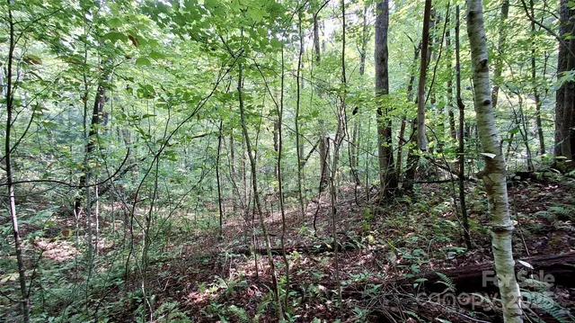 $40,000 | 0 Cross Creek Circle, Sylva, NC 28779